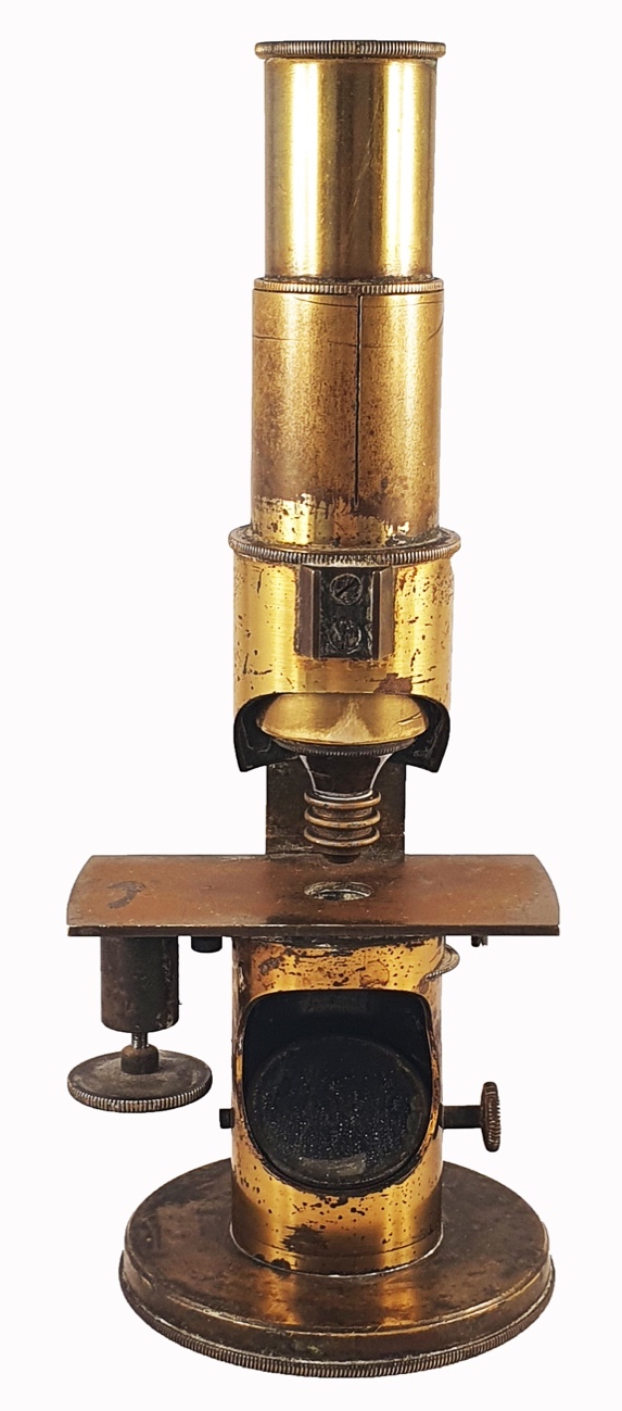 A close-up of a gold objectDescription automatically generated