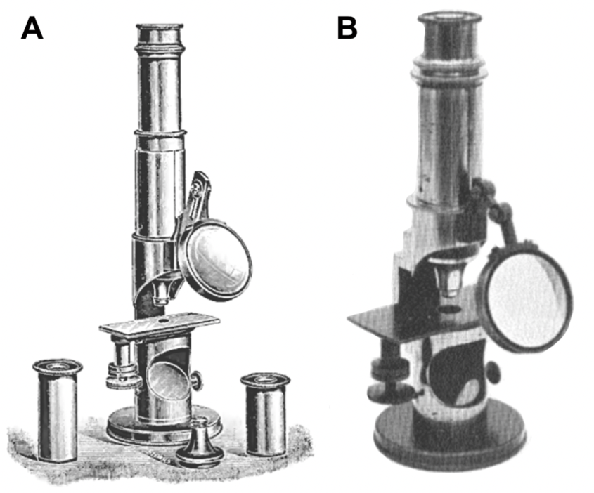 A close-up of a microscopeDescription automatically generated