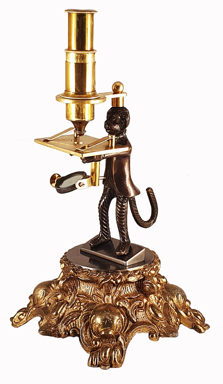 Microscope Statue A statue of a monkey holding a candleDescription automatically generated