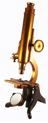 A close-up of an object
Description automatically generated with low confidence