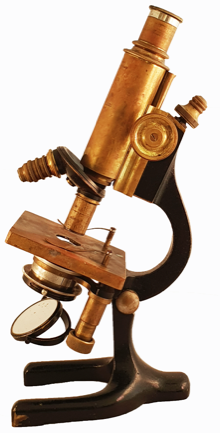 A picture containing indoor, old
Description automatically generated