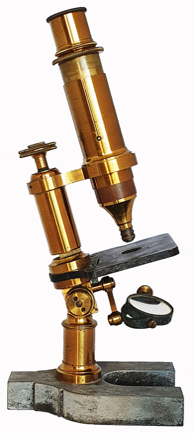 A picture containing indoor
Description automatically generated