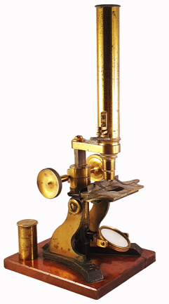 A picture containing indoor
Description automatically generated