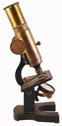 A picture containing indoor
Description automatically generated