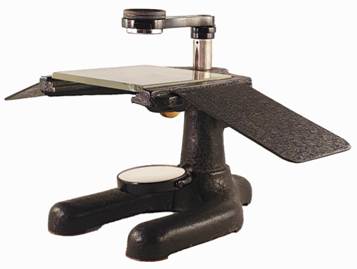 A picture containing feet
Description automatically generated