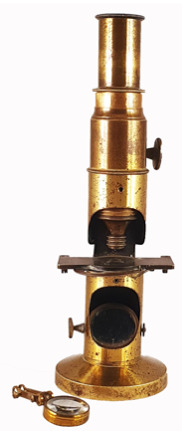 A close-up of a gavel
Description automatically generated with low confidence