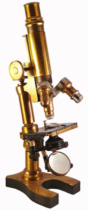 A picture containing indoor
Description automatically generated