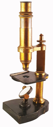 A picture containing indoor
Description automatically generated